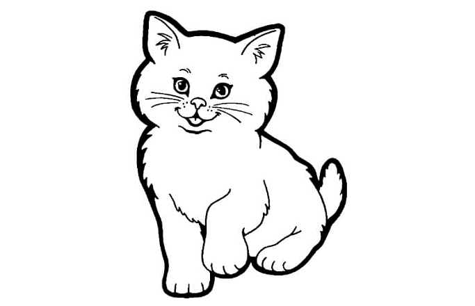 Gambar Sketsa Kucing (Free Download) Simple dan Mudah