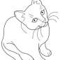 Gambar Sketsa Kucing (Free Download) Simple dan Mudah