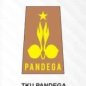 Pramuka Pandega