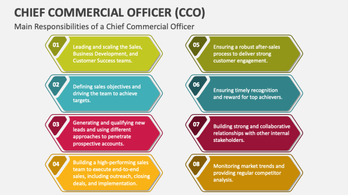 Chief commercial officer adalah