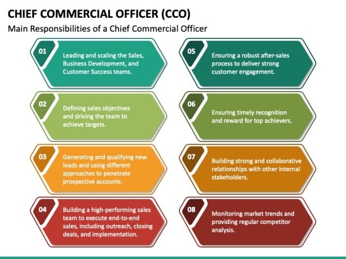 Chief commercial officer adalah