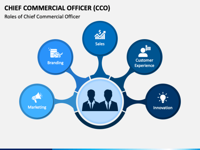 Chief commercial officer adalah